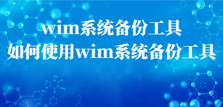 WIM.jpeg